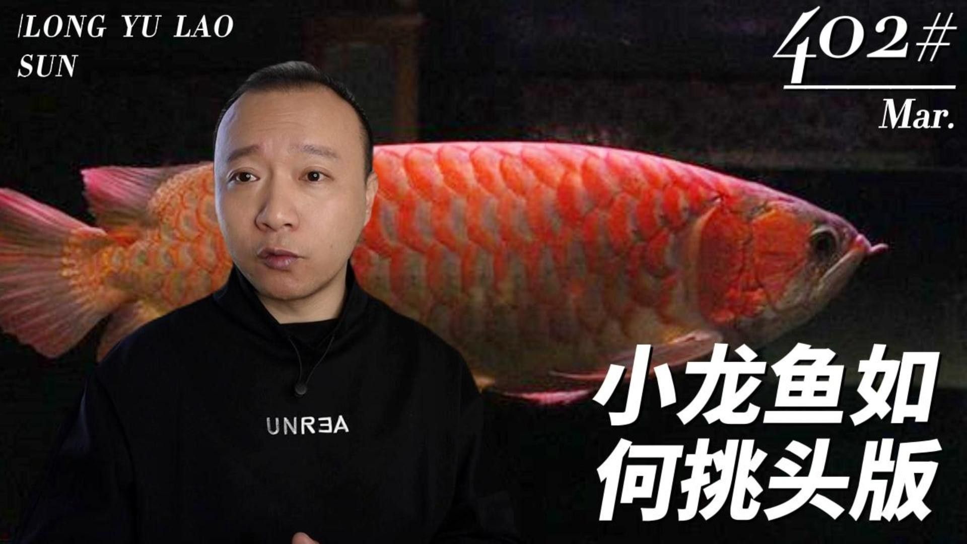 龍魚翹嘴還是平嘴好養活