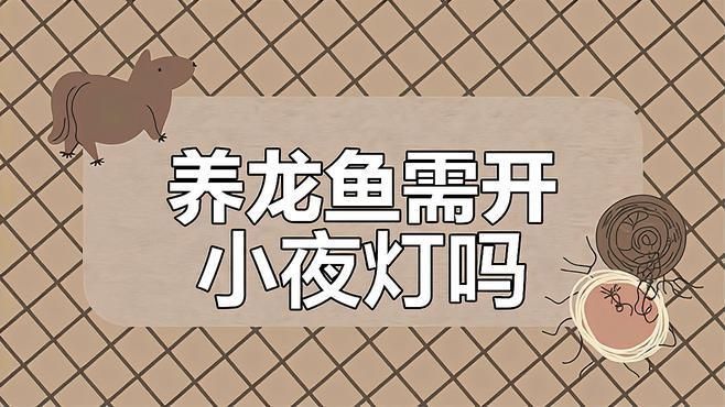 金龍魚不用燈照行嗎 金龍魚不用燈照行嗎 龍魚百科 第8張