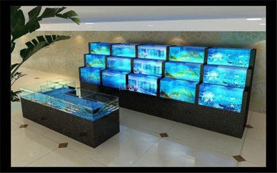 輝煌龍魚缸專賣店怎么樣啊：輝煌龍魚缸專賣店怎么樣