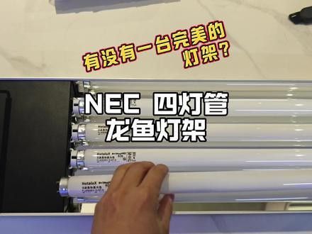紅龍魚燈光使用方法圖解