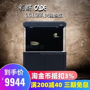 彩蝶龍魚缸CGB能養龍嗎？：彩蝶魚缸cgb能養龍魚嗎