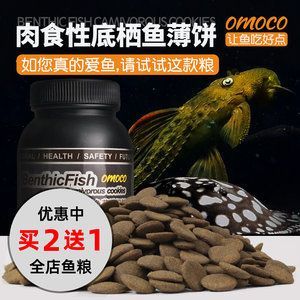 紅龍魚訓練吃顆粒：如何訓練紅龍魚吃顆粒飼料 紅龍魚訓練吃顆粒：如何訓練紅龍魚吃顆粒飼料 龍魚百科 第1張
