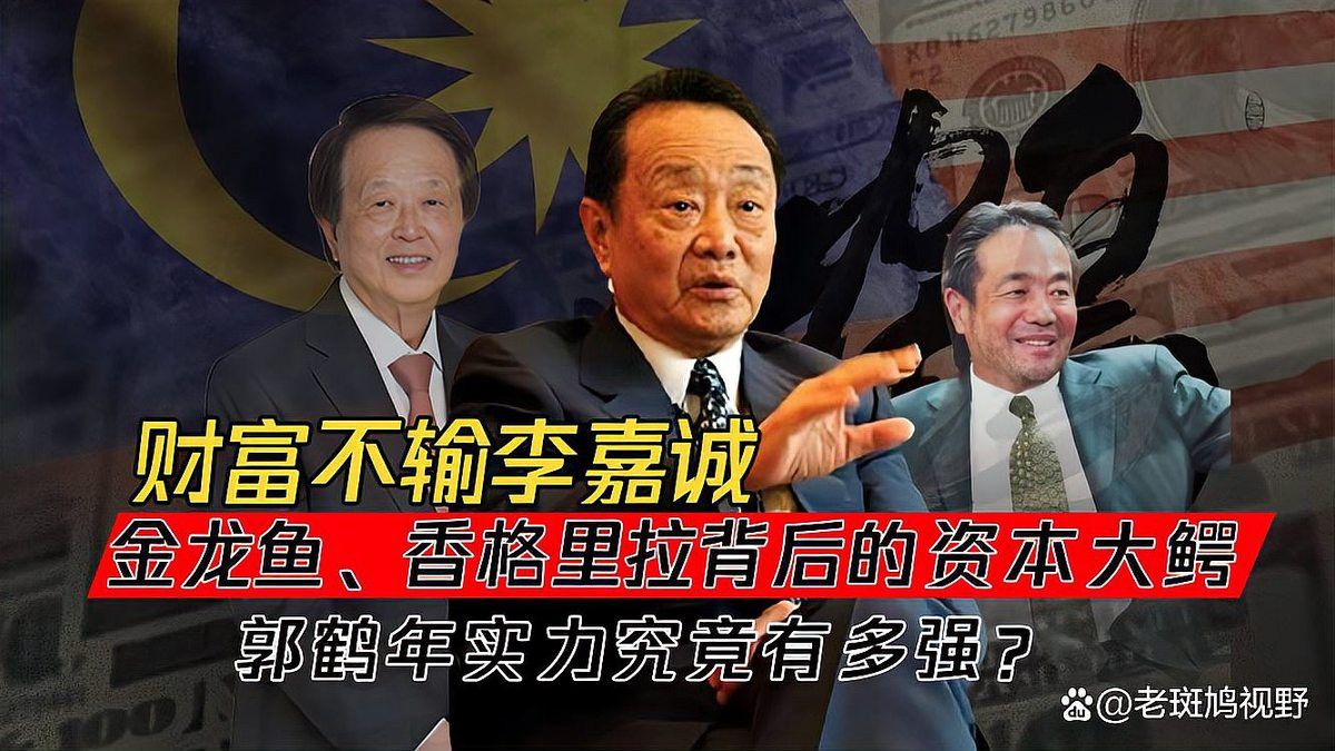 金龍魚大老板是誰