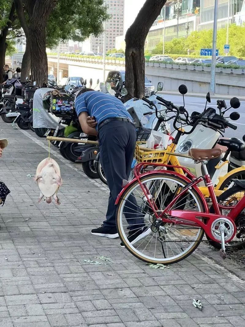 海龍魚為何被國家禁止