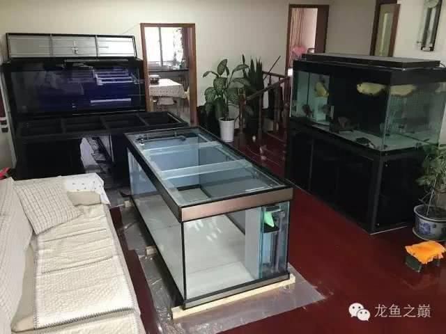 龍魚之巔魚缸制作的關鍵信息和注意事項和注意事項：關于龍魚之巔魚缸制作的一些關鍵信息和注意事項