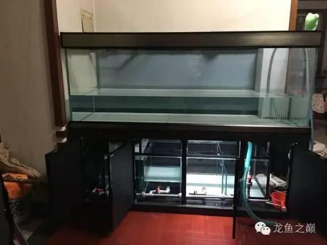 龍魚之巔魚缸制作的關鍵信息和注意事項和注意事項：關于龍魚之巔魚缸制作的一些關鍵信息和注意事項