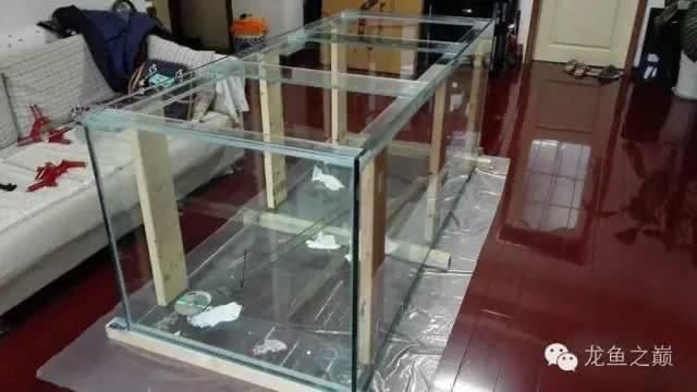 龍魚之巔魚缸制作的關鍵信息和注意事項和注意事項：關于龍魚之巔魚缸制作的一些關鍵信息和注意事項