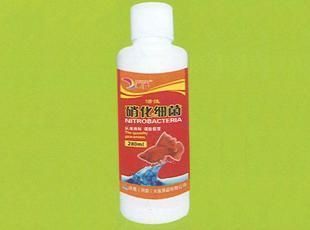 金龍魚發(fā)白加硝化細(xì)菌可以嗎：金龍魚發(fā)白時(shí)是否可以加硝化細(xì)菌取決于具體情況的情況