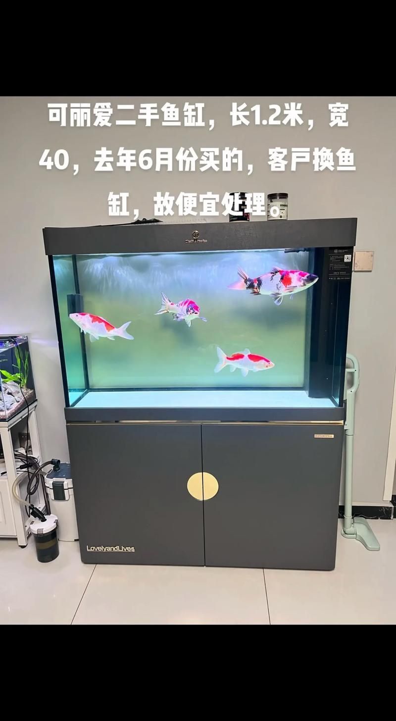 可麗愛魚缸面板圖解