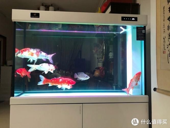 可麗愛魚缸面板圖解