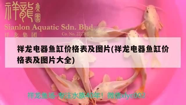 祥龍魚缸（吉林雙遼祥龍電器魚缸）