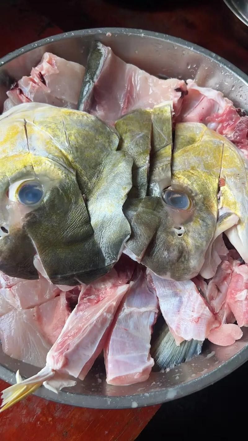 食人鯧可以和龍魚混養嗎圖片