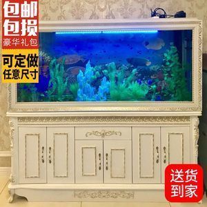龍魚與蝴蝶鯉混養好不好：龍魚和蝴蝶鯉可以混養在一起嗎？