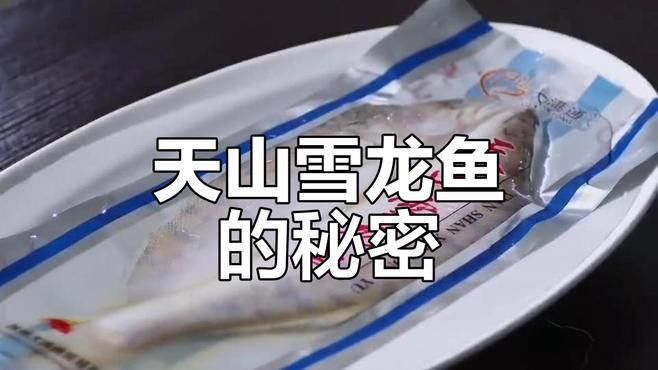 天山雪龍魚價格行情走勢圖片