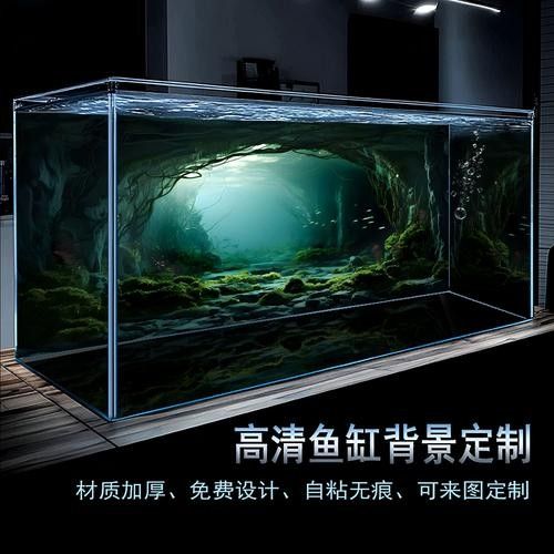 龍魚圖片大全圖片高清壁紙