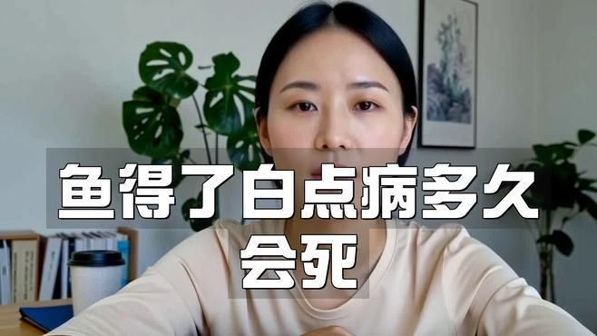 六角龍魚(yú)白斑病多久會(huì)死？