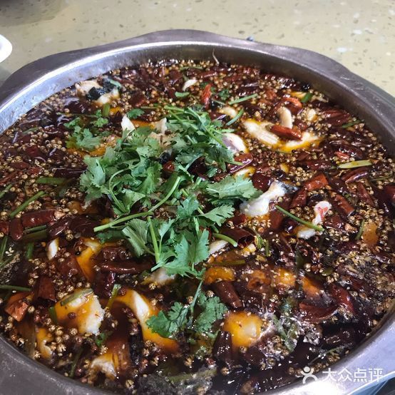 重慶哪里有賣龍魚的