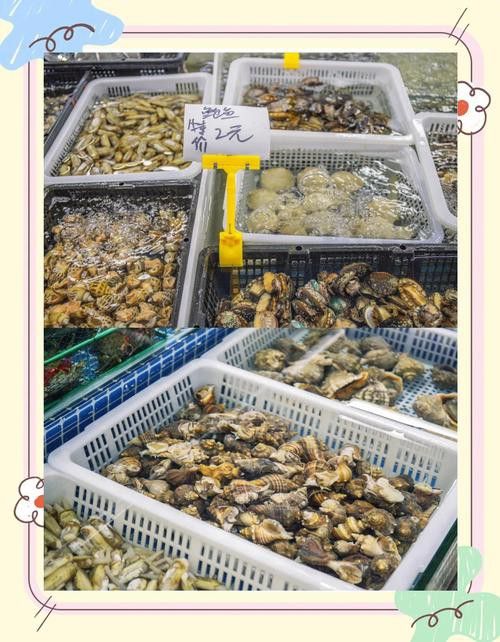 重慶哪里有賣龍魚的