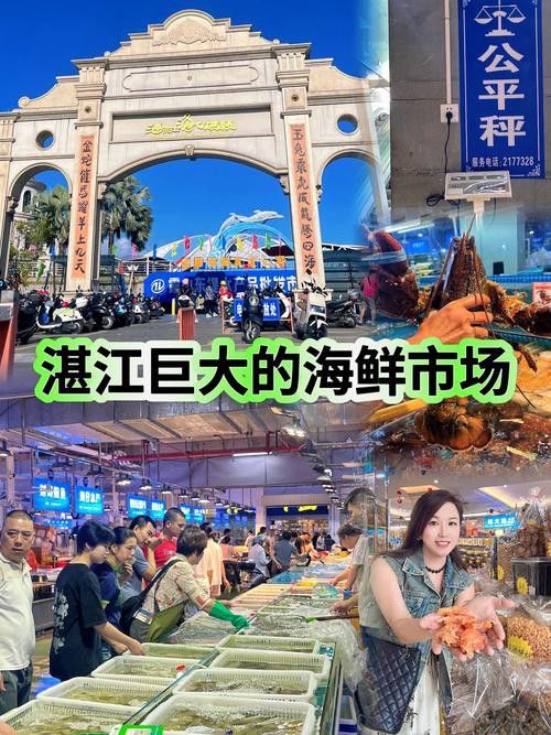 重慶哪里有賣龍魚的