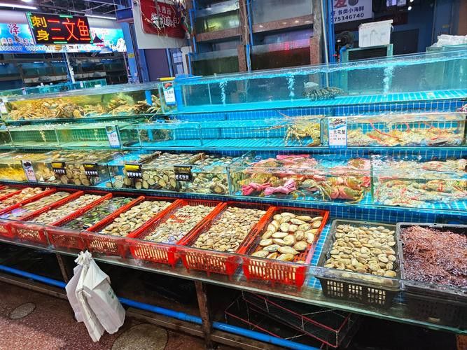 重慶哪里有賣龍魚的