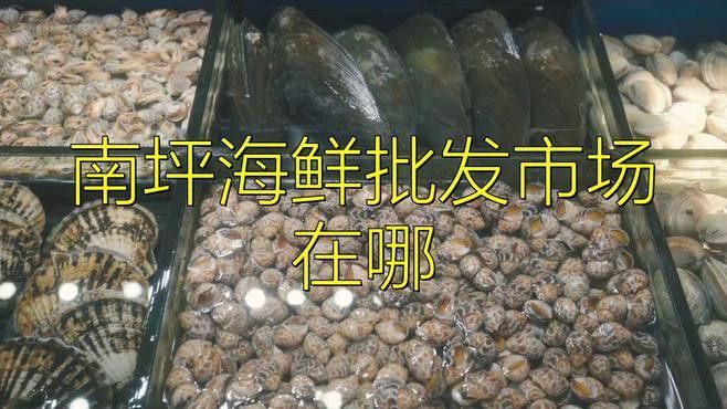重慶哪里有賣龍魚的