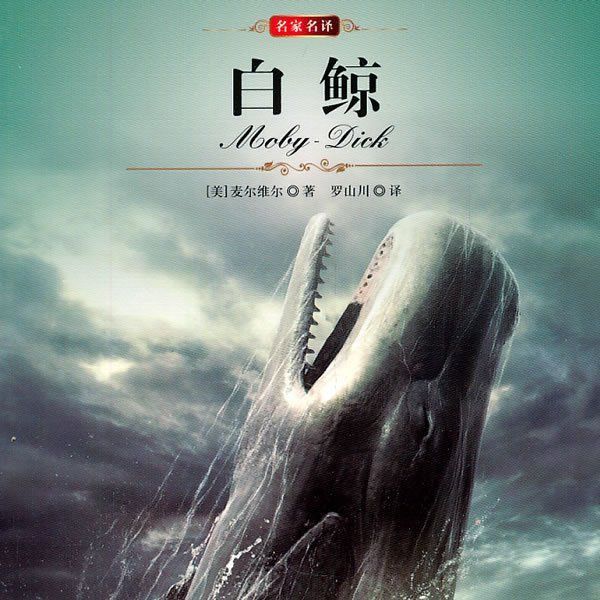鯨魚的嘴巴大的像什么 龍魚百科 第4張 鯨魚的嘴巴大的像什么 鯨魚的嘴巴大的像什么 龍魚百科 第4張
