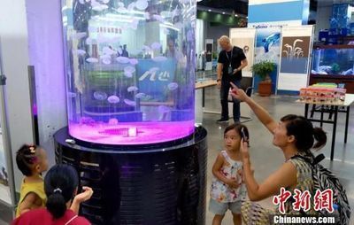 社交媒體龍魚交易風險：社交媒體上的龍魚交易存在多重風險 社交媒體龍魚交易風險：社交媒體上的龍魚交易存在多重風險 龍魚百科 第3張