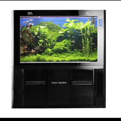 上海魟魚（上海水族館魟魚展示）