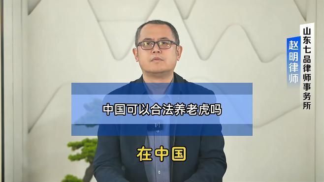 哪些國家養(yǎng)老虎合法