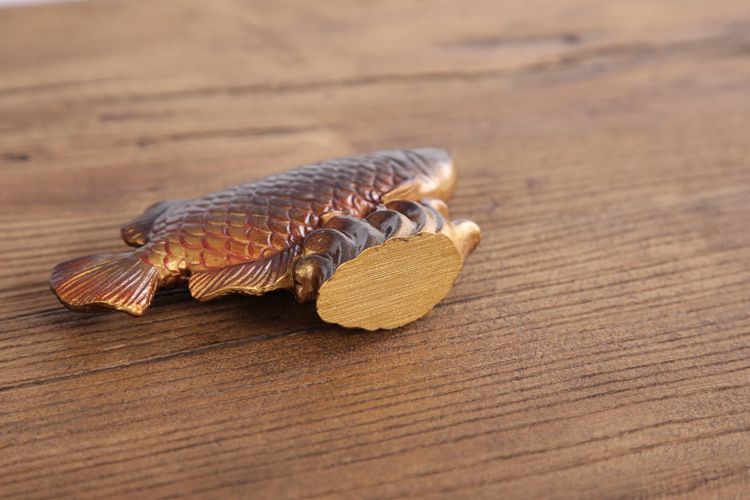 金龍魚吃什么變色快：金龍魚吃什么會上色快