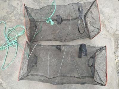 龍魚怎么撈出來：龍魚怎么撈取 龍魚怎么撈出來：龍魚怎么撈取 龍魚百科 第1張