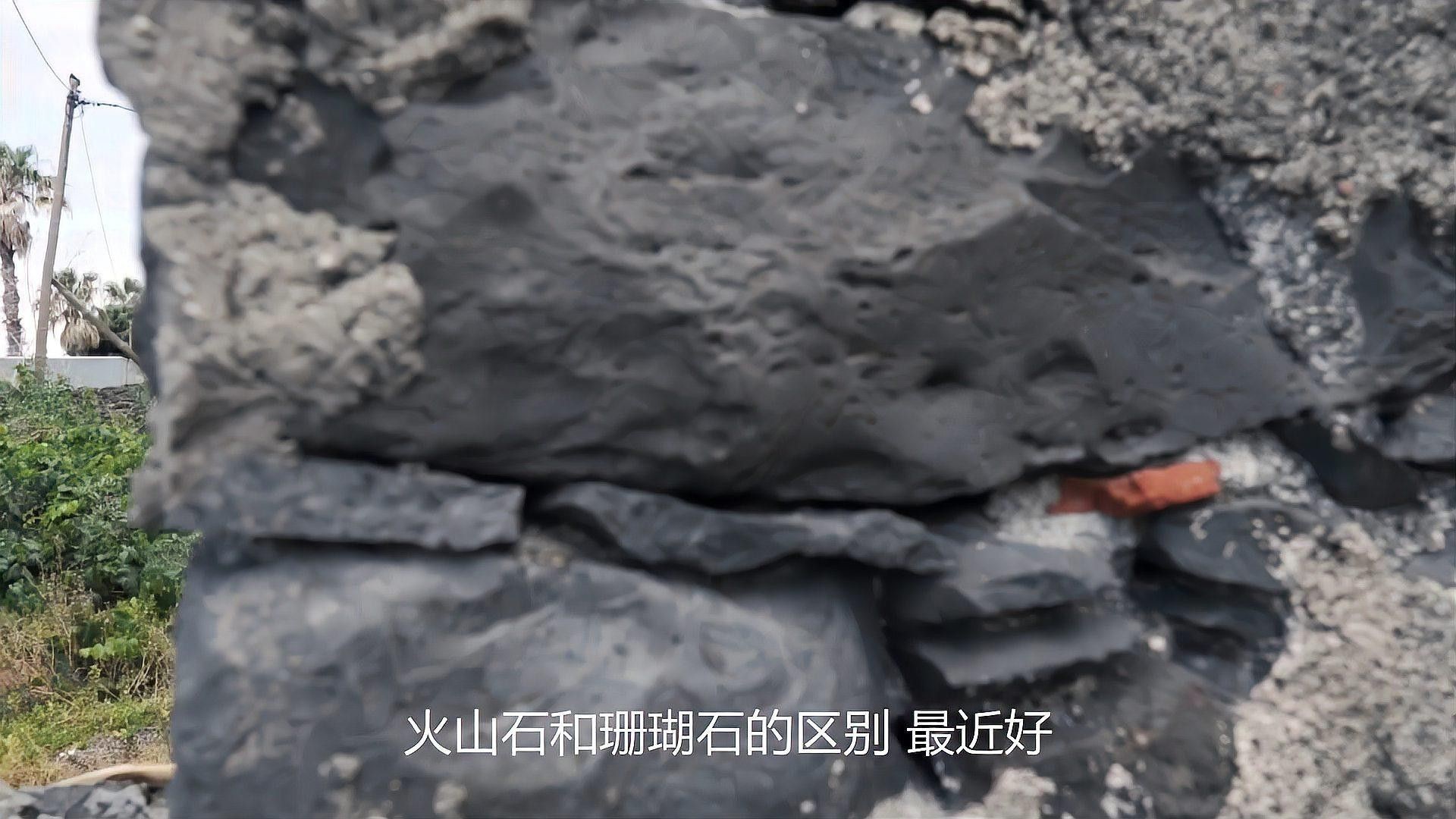 火山石和珊瑚沙如何選擇？