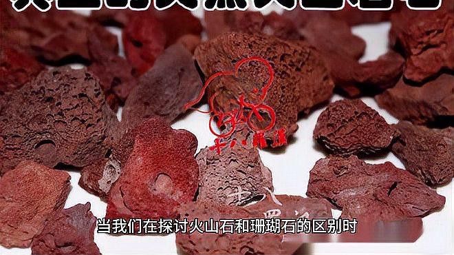 火山石和珊瑚沙如何選擇？