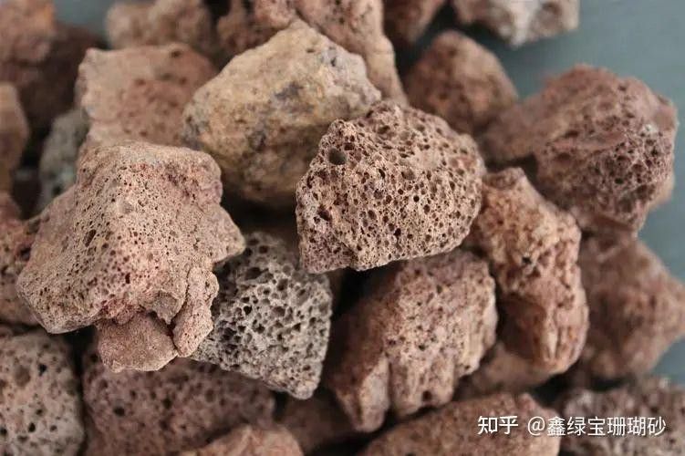 火山石和珊瑚沙如何選擇？
