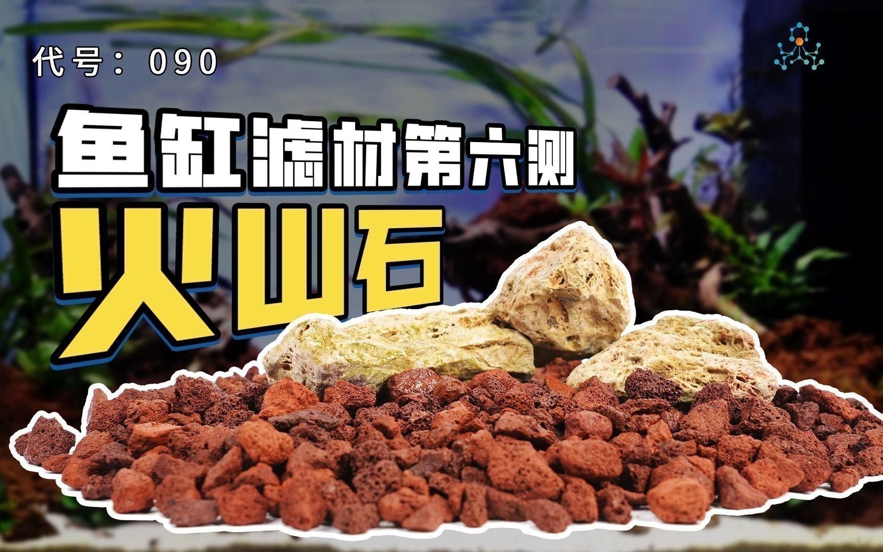 火山石和珊瑚沙如何選擇？