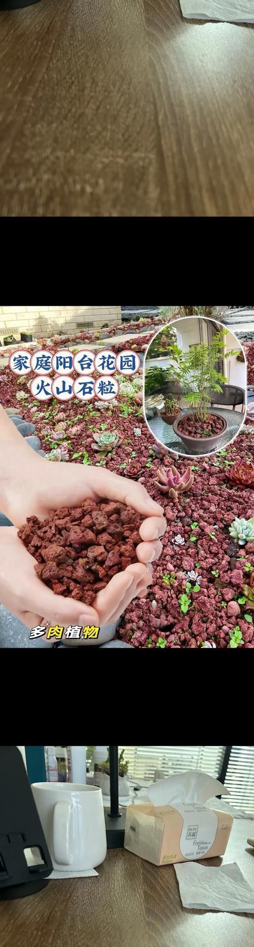 火山石和珊瑚沙如何選擇？