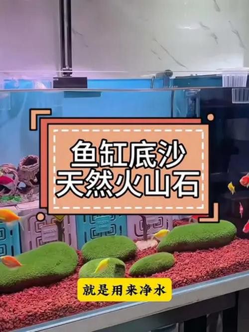 火山石和珊瑚沙如何選擇？
