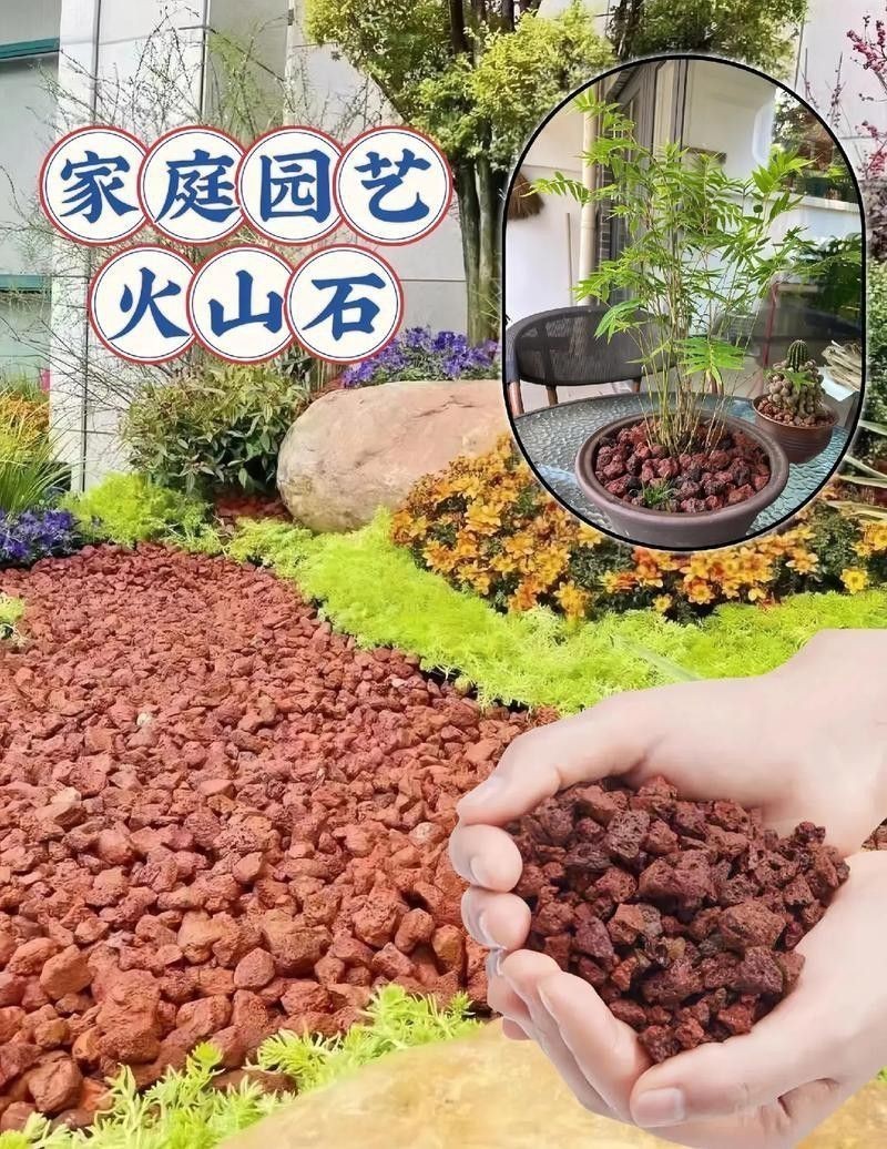 火山石和珊瑚沙如何選擇？