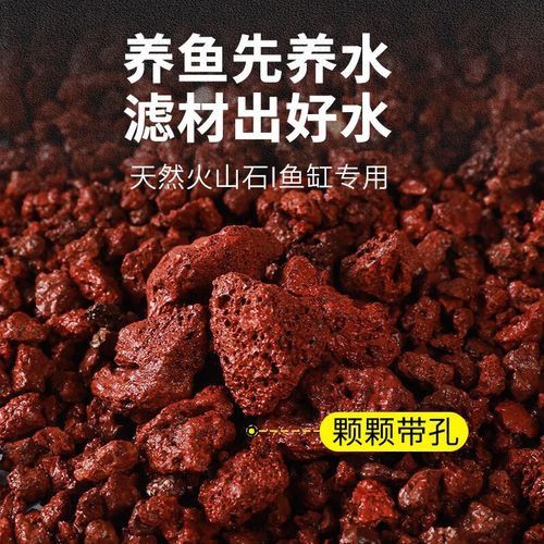 火山石和珊瑚沙如何選擇？