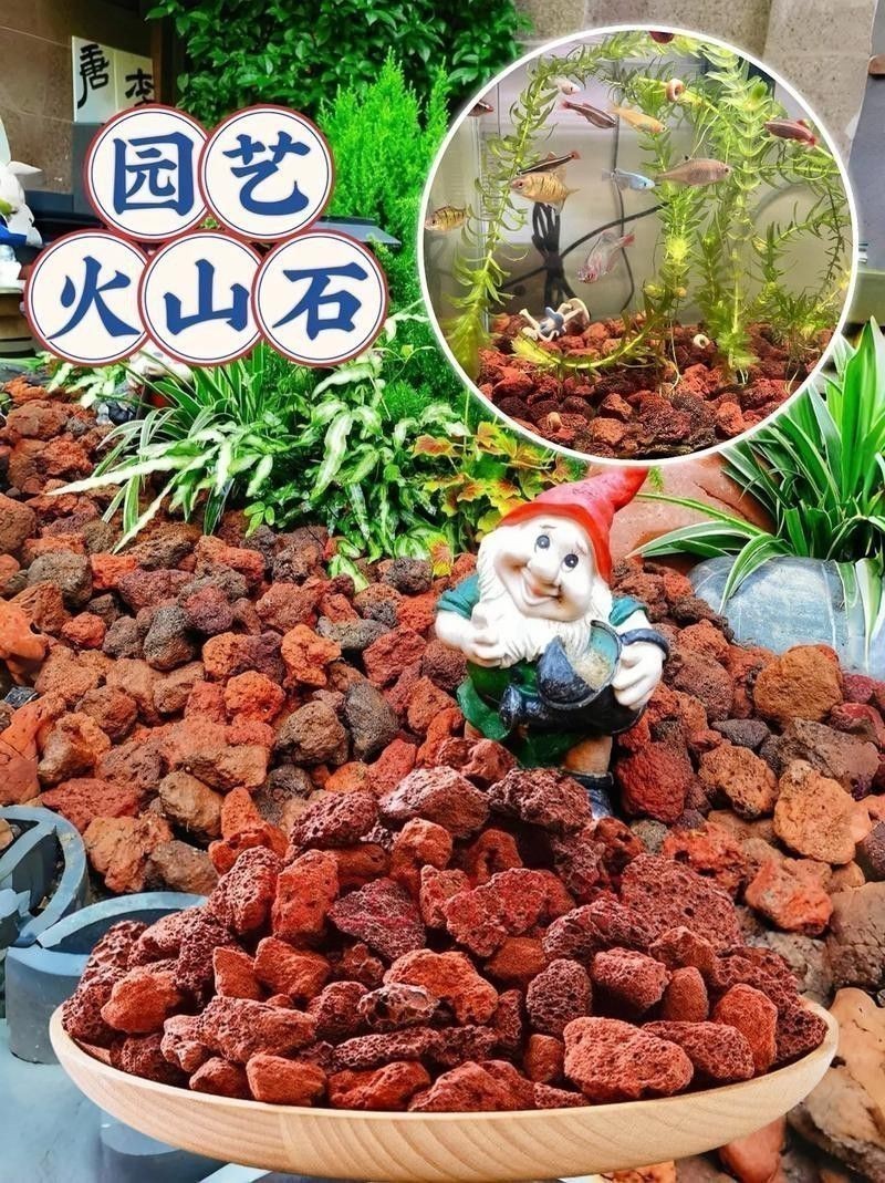 火山石和珊瑚沙如何選擇？