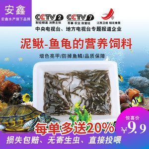 龍魚專用餌料有哪些牌子：龍魚專用餌料品牌簡介