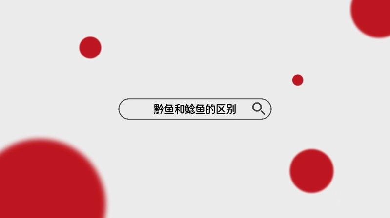 黔龍魚是什么魚圖片