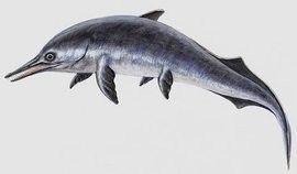 黔龍魚是什么魚圖片