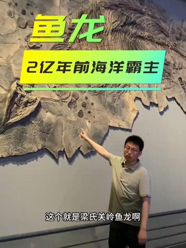 請詳細介紹一下梁氏關嶺魚龍
