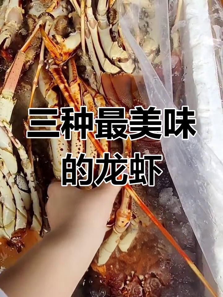 紅龍和澳龍哪個更好吃？ 紅龍和澳龍哪個更好吃？ 龍魚百科 第4張