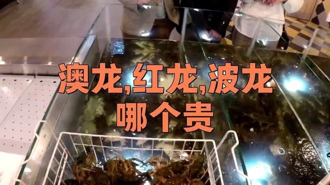 紅龍和澳龍哪個更好吃？ 紅龍和澳龍哪個更好吃？ 龍魚百科 第6張