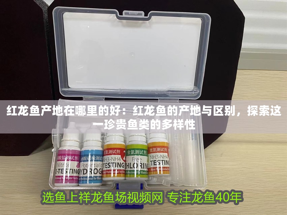 紅龍魚(yú)產(chǎn)地在哪里的好：紅龍魚(yú)的產(chǎn)地與區(qū)別，探索這一珍貴魚(yú)類(lèi)的多樣性