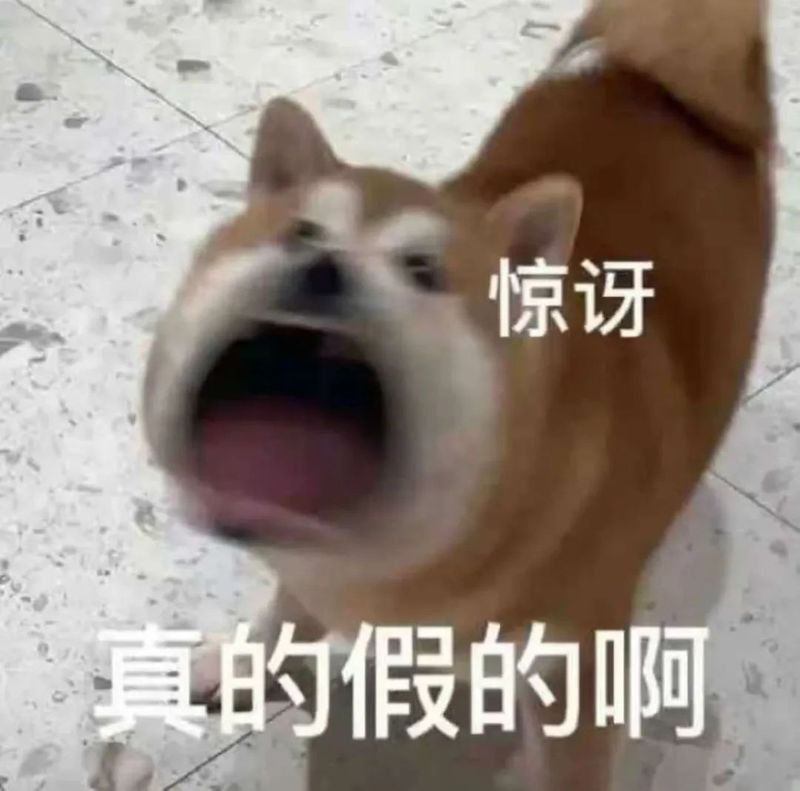 魚的細菌會傳染給人嗎