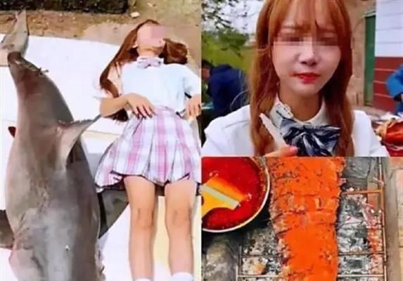 人類捕撈對大白鯊的影響，大白鯊在海洋生態系統中的作用