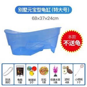 六角恐龍魚可以喂龜糧嗎視頻：六角恐龍魚的營養成分未必能滿足六角恐龍魚的特定需求